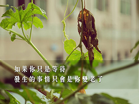 瀑布,激流,湖泊小学作文