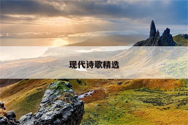 教师朗诵稿